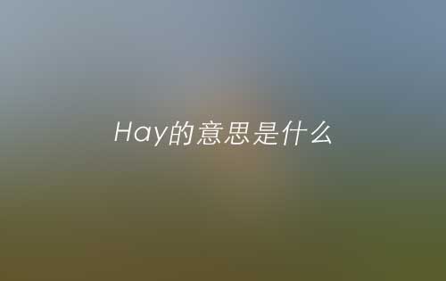 Hay的意思是什么|Hay的翻译及发音