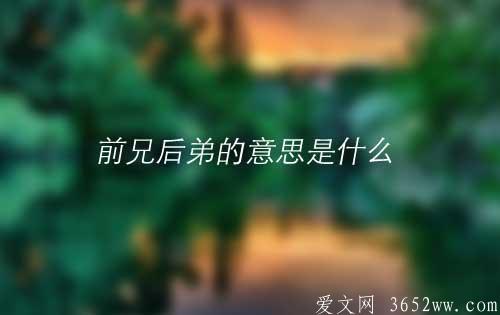 前兄后弟的意思是什么|前兄后弟免费分享阅读