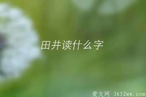 田井读什么字|“畊”字意思是什么|畊字怎么读正确