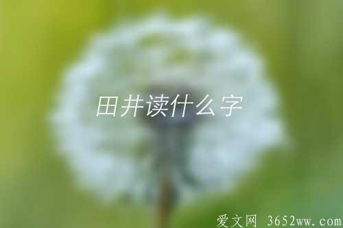 田井读什么字|“畊”字意思是什么|畊字怎么读正确