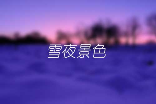 两段描写冬天雪夜景色的短文