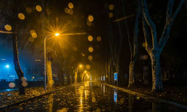 雨夜景物的描写，适合学生作文参考