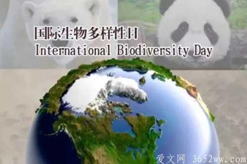 国际生物多样性日是几月几日？有什么意义？