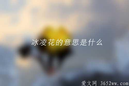 冰凌花的意思是什么|冰凌花的拼音怎么读