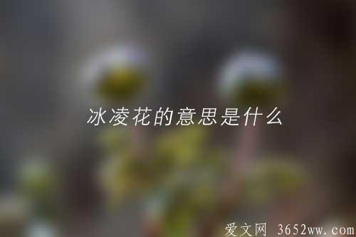 冰凌花的意思是什么|冰凌花的拼音怎么读