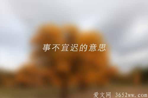 事不宜迟的意思|事不宜迟的拼音