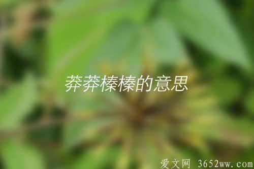 莽莽榛榛的意思以及莽莽榛榛的拼音