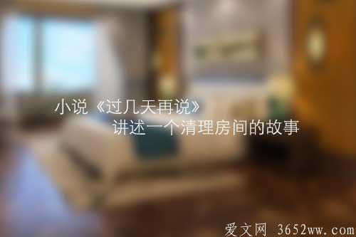 小说《过几天再说》讲述一个清理房间的故事