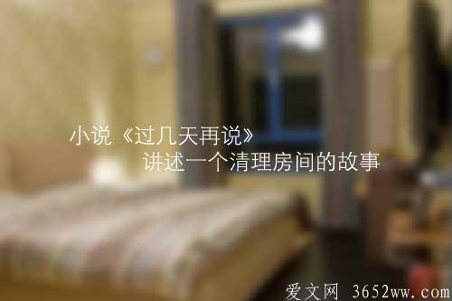 小说《过几天再说》讲述一个清理房间的故事