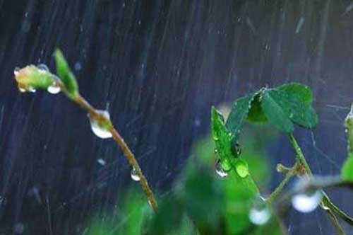 作文《与雨相拥》写出不一样的雨中景致