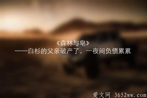 《森林与皂》——白杉的父亲破产了，一夜间负债累累