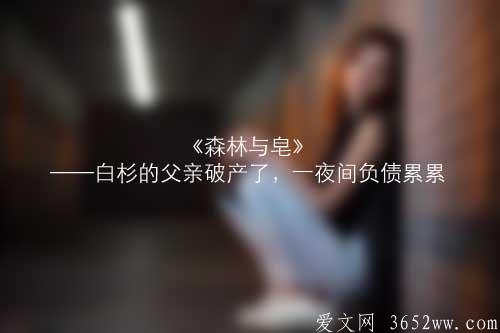 《森林与皂》——白杉的父亲破产了，一夜间负债累累