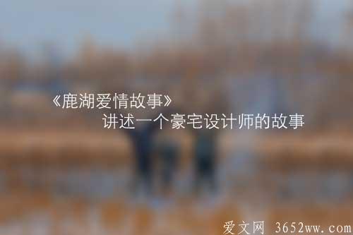 《鹿湖爱情故事》讲述一个豪宅设计师的故事