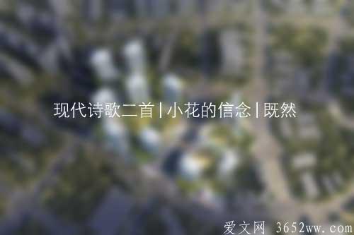 现代诗歌二首|小花的信念|既然