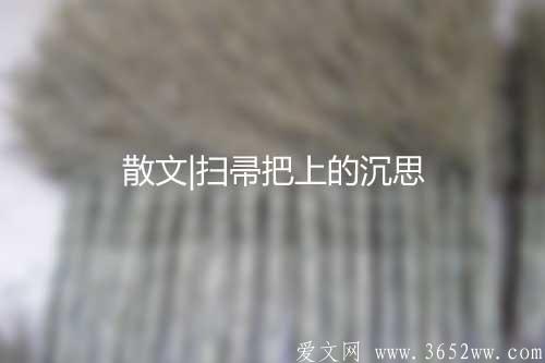 扫帚把上的沉思