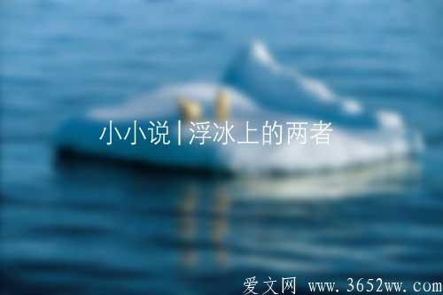 小小说《浮冰上的两者》