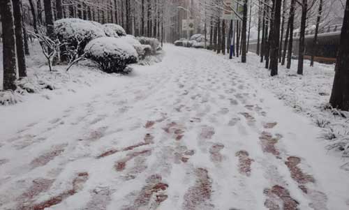 雪中故事《两个不同的人》