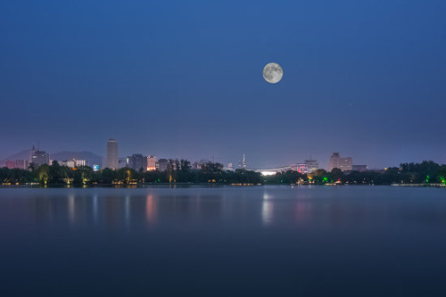 作文《赏月》绘出一幅仲秋之夜美丽的画卷