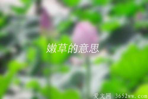 嫩草的意思是什么|嫩草的拼音怎么读