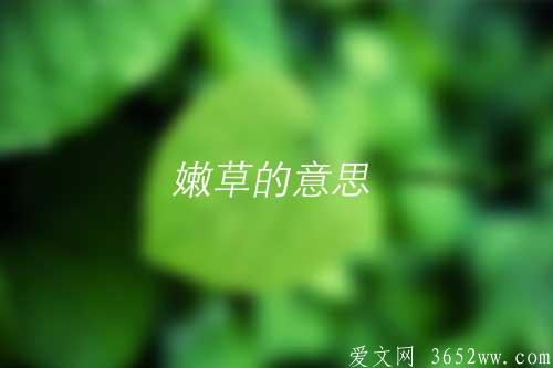 嫩草的意思是什么|嫩草的拼音怎么读