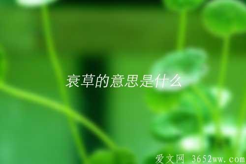 衰草的意思是什么|衰草的拼音怎么读