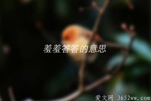 羞羞答答的意思是什么|羞羞答答拼音怎么读