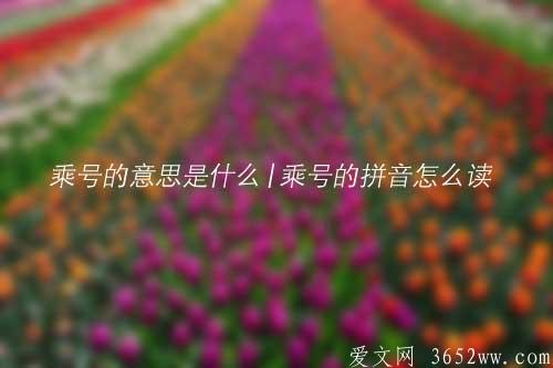 乘号的意思是什么|乘号的拼音怎么读