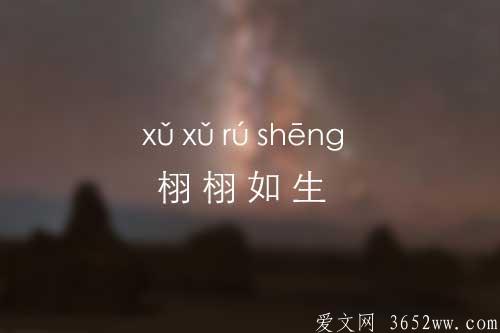 栩栩如生的意思是什么|栩栩如生的拼音怎么读