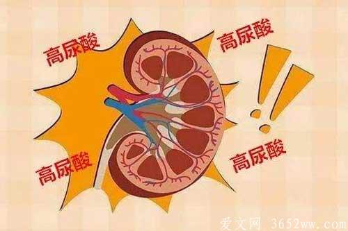 尿酸高吃什么最好——盘点几种最降得快食物