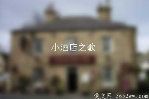 读《小酒店之歌》和作者一起体味“小酒店”巨大的吸引力