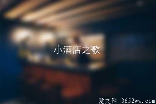 读《小酒店之歌》和作者一起体味“小酒店”巨大的吸引力