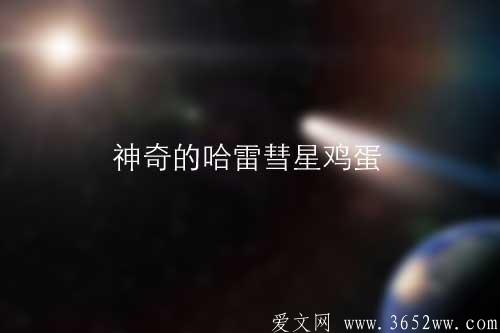 神奇的哈雷彗星鸡蛋