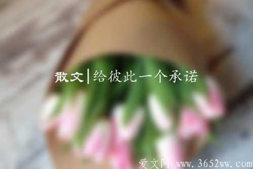 散文|给彼此一个承诺