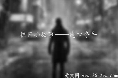 抗日小故事——虎口夺牛