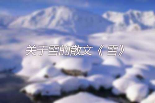 关于雪的散文《 雪》