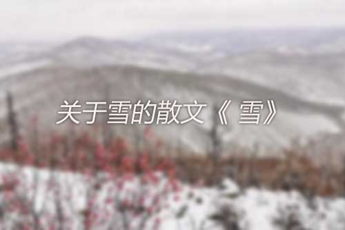 关于雪的散文《 雪》