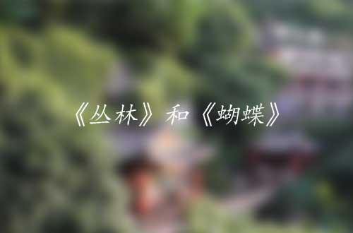 清凉的水罐（外二十一章）之《丛林》和《蝴蝶》