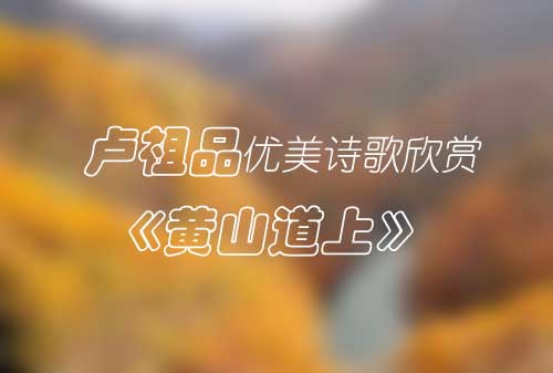 卢祖品优美诗歌欣赏《黄山道上》