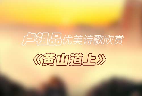 卢祖品优美诗歌欣赏《黄山道上》