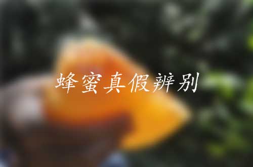 蜂蜜真假辨别方法有哪些|如何辨别奶粉的真假