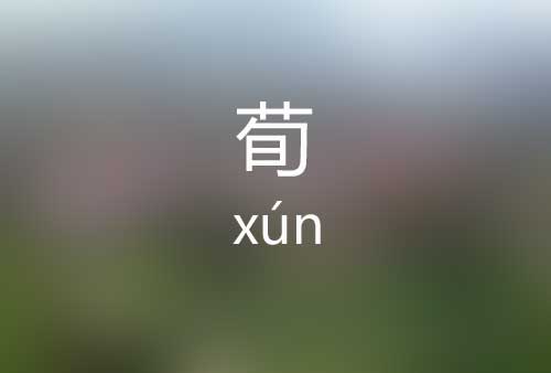 荀怎么读|荀字是什么意思|荀字标准拼音