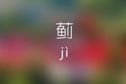 蓟怎么读|蓟的标准读音是什么|蓟字的意思是什么