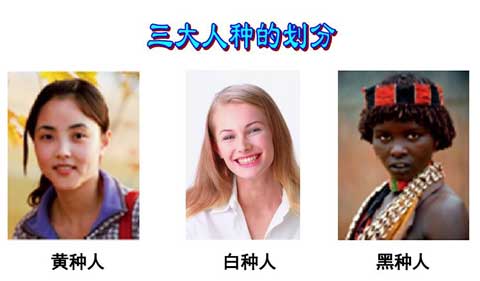 人种分类_全世界有哪些人种