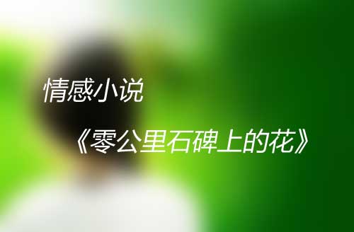 情感小说《零公里石碑上的花》