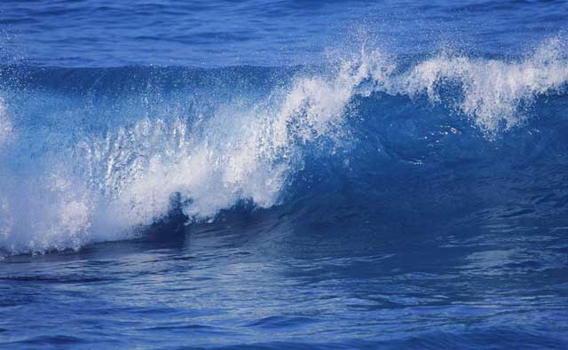 死海、海浪、贝壳及撒哈拉沙漠