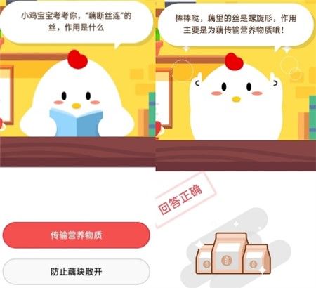 小鸡宝宝考考你藕断丝连的丝作用是什么