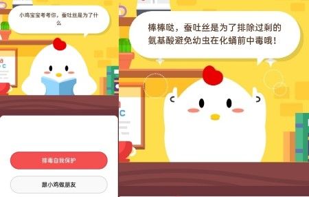 小鸡宝宝考考你蚕吐丝是为了什么